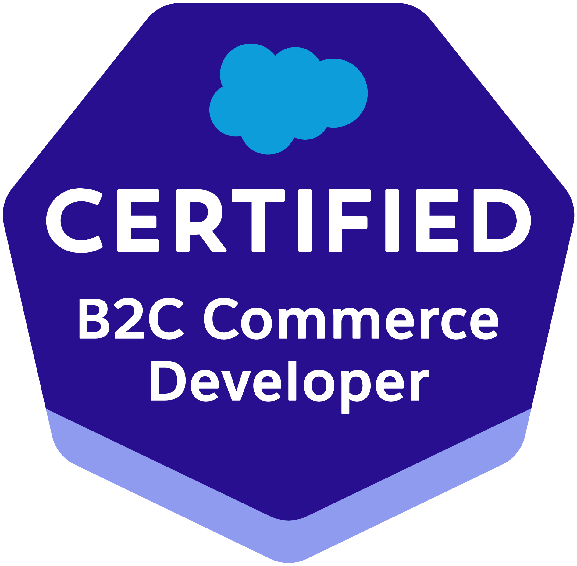Salesforce Certified B2C Commerce Developer Salesforce Certified B2C Commerce Developer