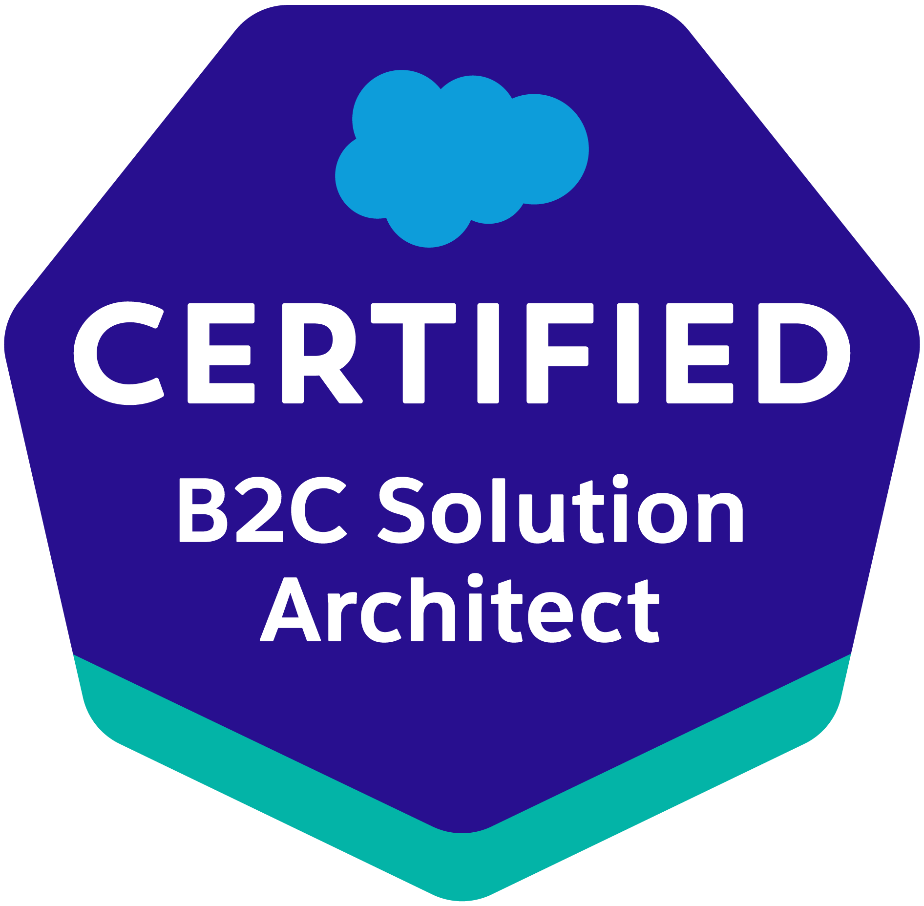 Salesforce Certified B2C Solution Architect Salesforce Certified B2C Solution Architect