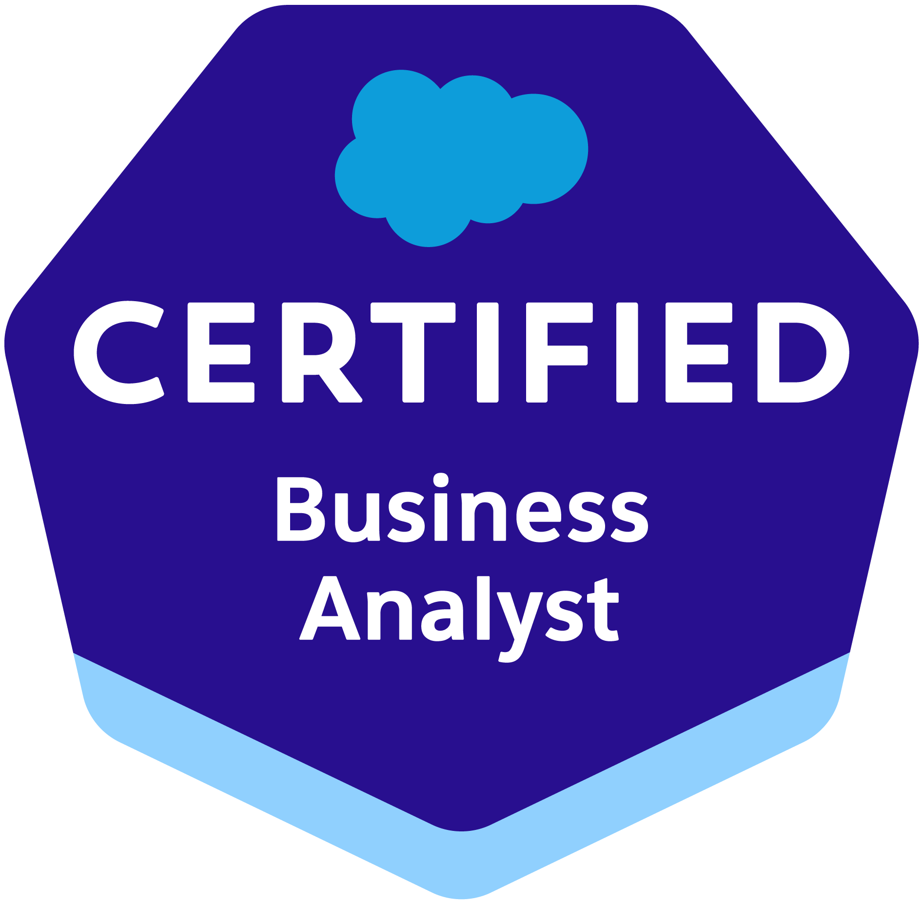 Salesforce Certified Business Analyst Salesforce Certified Business Analyst