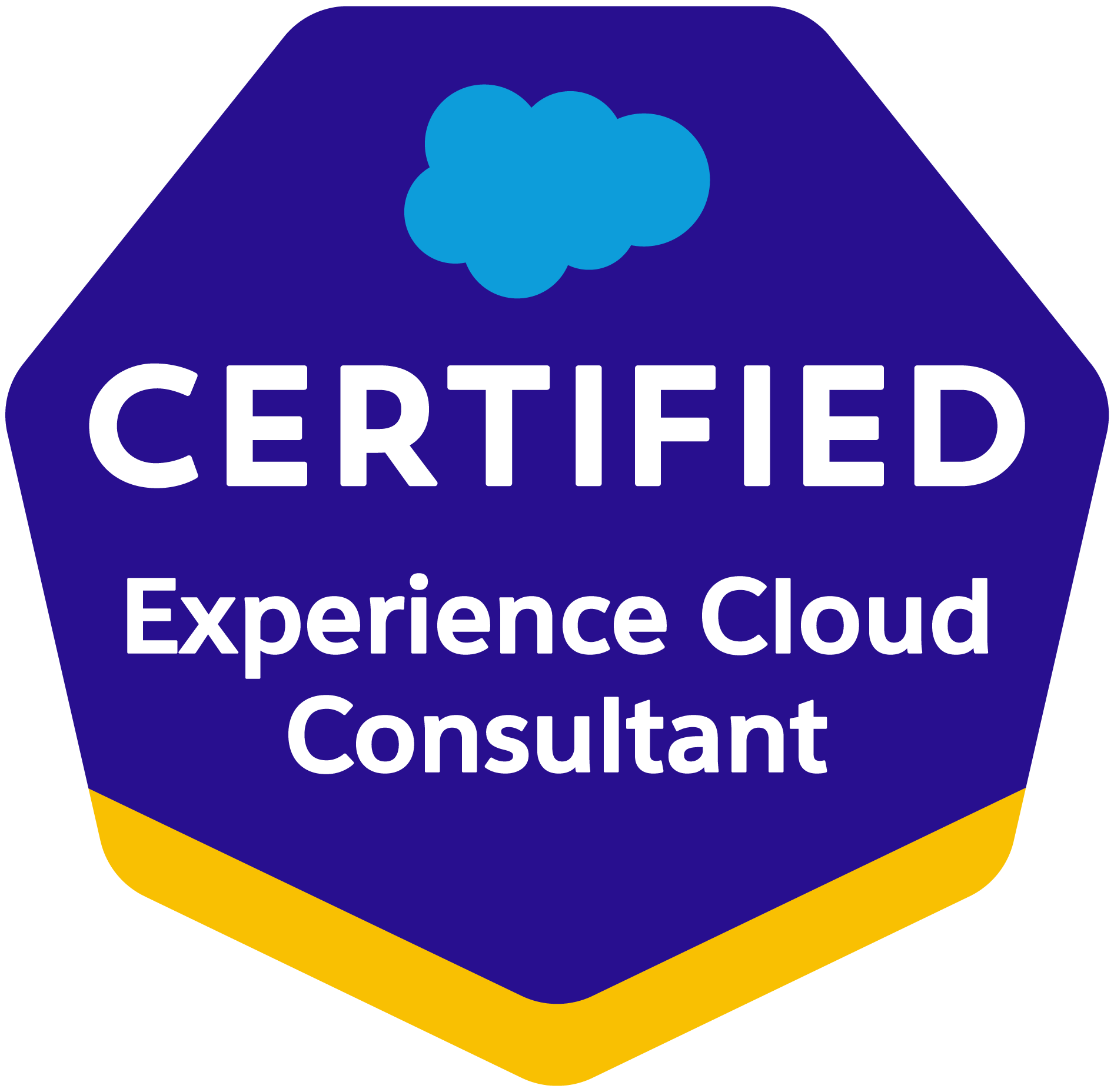 Salesforce Certified Experience Cloud Consultant Salesforce Certified Experience Cloud Consultant