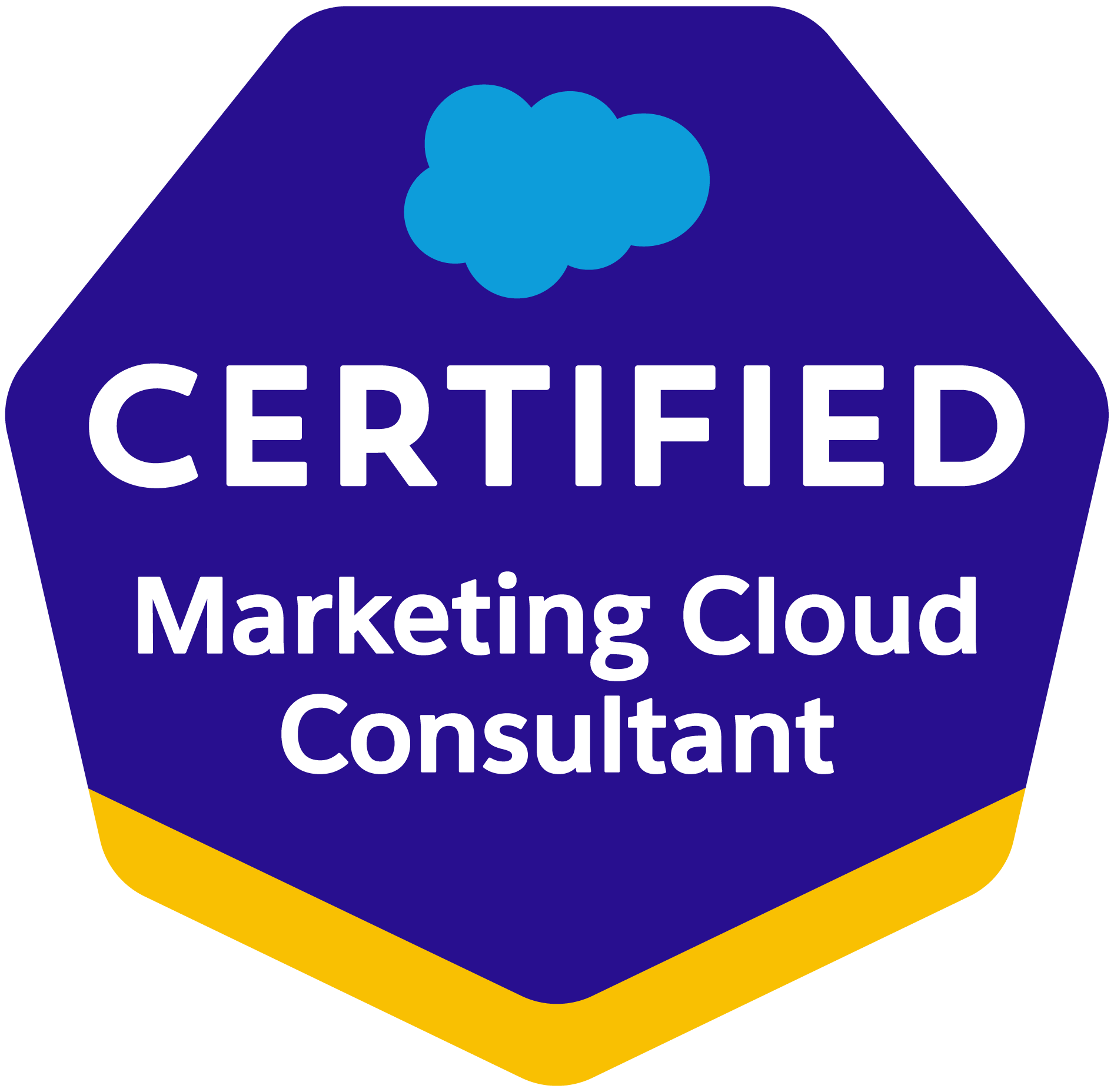 Salesforce Certified Marketing Cloud Consultant Salesforce Certified Marketing Cloud Consultant
