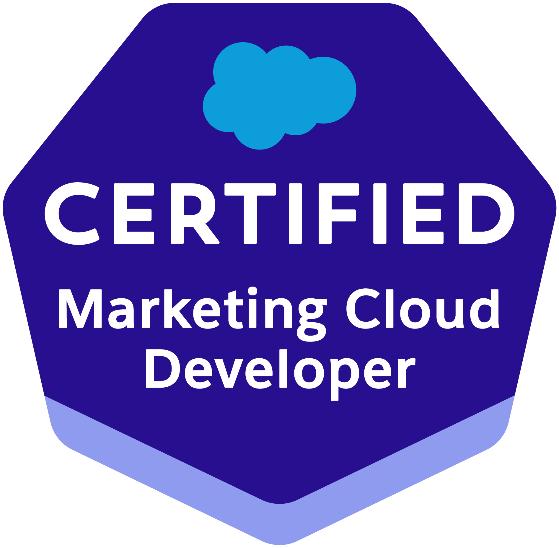 Salesforce Certified Marketing Cloud Developer Salesforce Certified Marketing Cloud Developer