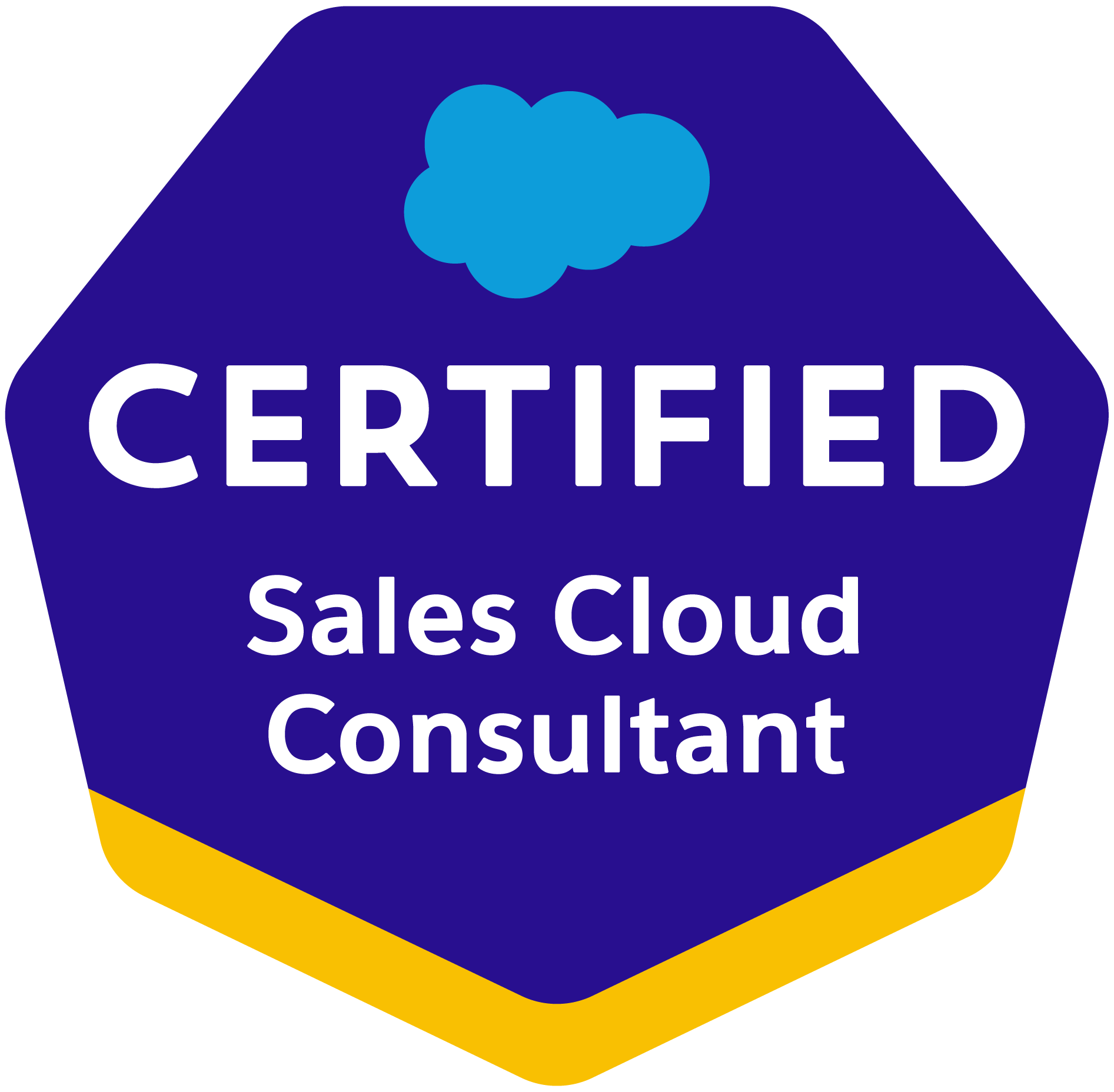 Salesforce Certified Sales Cloud Consultant Salesforce Certified Sales Cloud Consultant